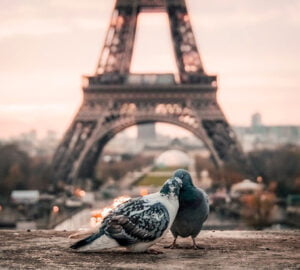 Ερωτικό Ταξίδι στην Ευρώπη την Ημέρα των Ερωτευμένων