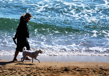 Κάψε Θερμίδες Περπατώντας