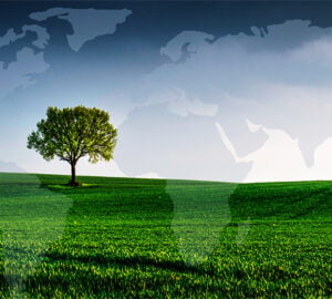 Παγκόσμια Ημέρα Περιβάλλοντος - 5 Ιουνίου