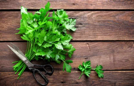 Μαϊντανός Ιδιότητες, οφέλη και χρήσεις στη μαγειρική